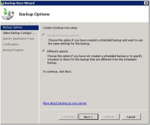 Windows-server-Backup-Different-Options