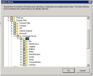 Windows-server-Backup-Select-Items-for-Backup-2